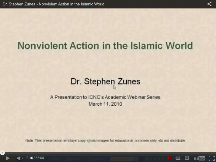 Nonviolent Action in the Islamic World (webinar)